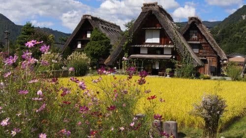 [Pure Fun] Takayama City + Miyagawa Morning Market + Shirakawa-go Gassho Village Observatory one-day tour in Nagoya, Japan Day Tours