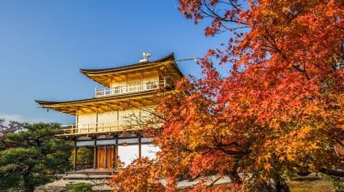 [Pure Fun] Kinkakuji Temple + Kiyomizu Temple + Fushimi Inari Taisha Shrine one-day tour in Osaka, Kyoto, Japan Day Tours
