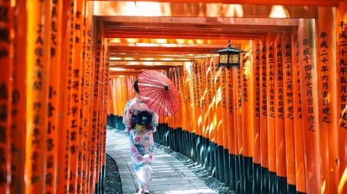 [Pure Fun] Excursion d'une journée au Temple Kinkakuji + Temple Kiyomizu + Sanctuaire Fushimi Inari Taisha au départ d'Osaka, Kyoto, Japon
