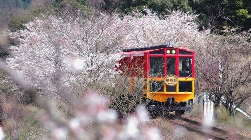 [Puro Divertimento] Tour di un giorno al Tempio Sanzen-in + Arashiyama + Treno Turistico Arashiyama Sagano da Osaka, Kyoto, Japan Day Tours