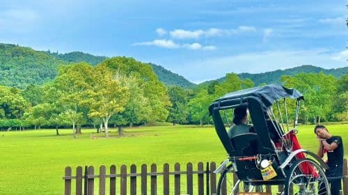 [Rickshaw Ebisu-ya] Nara rickshaw Private car tour