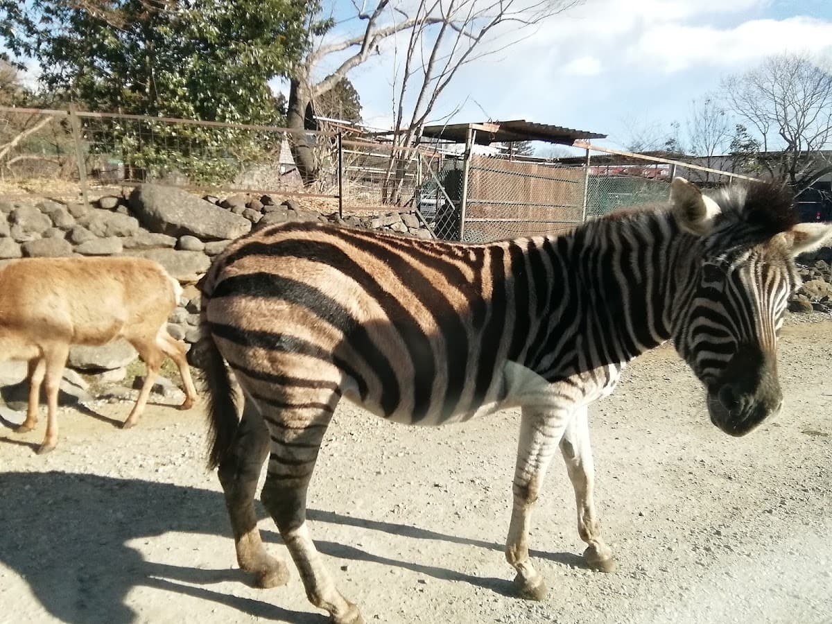 [Tochigi] Nasu Safari Park