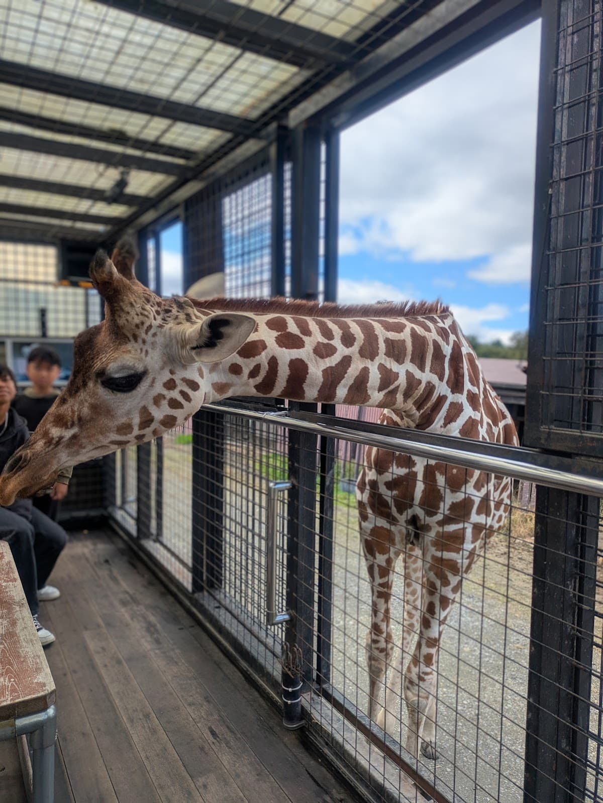 [Tochigi] Nasu Safari Park