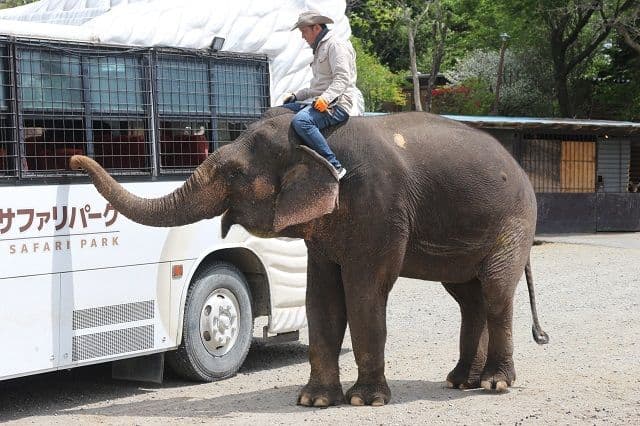 [Tochigi] Nasu Safari Park