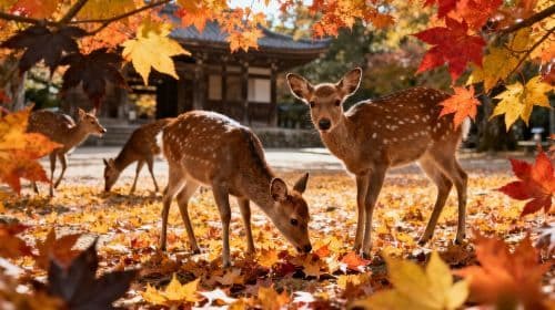 [Super special bus price 168] Tokyo Mt. Fuji Twin Lakes Day Tour | Selected 6 best seats Day Tours