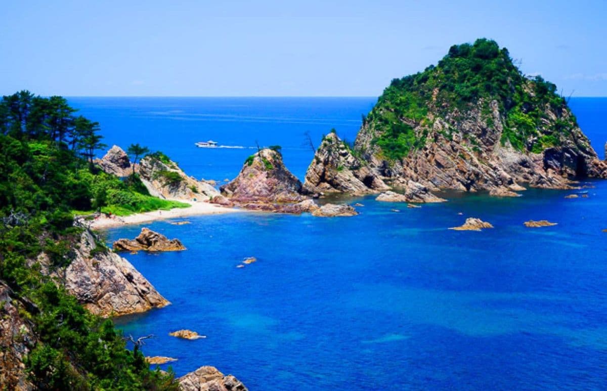 [Tour giornaliero in autobus a Tottori] Tottori Sand da Osaka: Dune, crociera sulla costa di Uratomi, Sand Museum, esperienza di raccolta delle pere con pranzo opzionale - Giappone