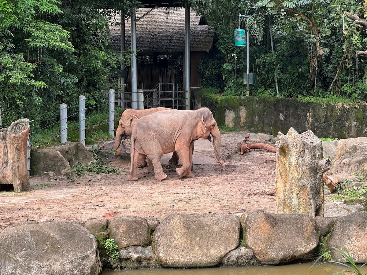 Singapore Zoo