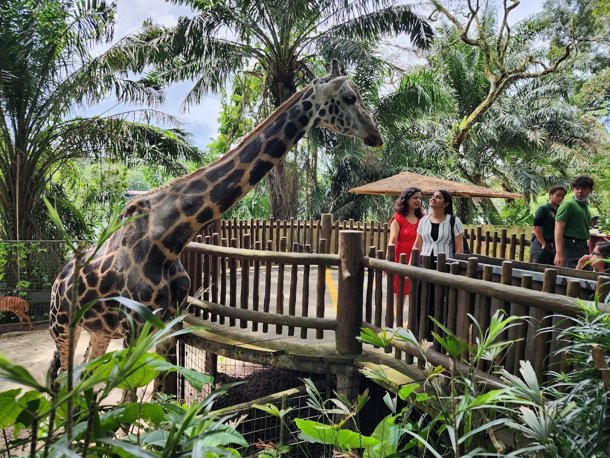 Singapore Zoo