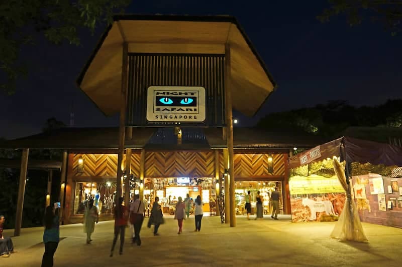 Night Safari