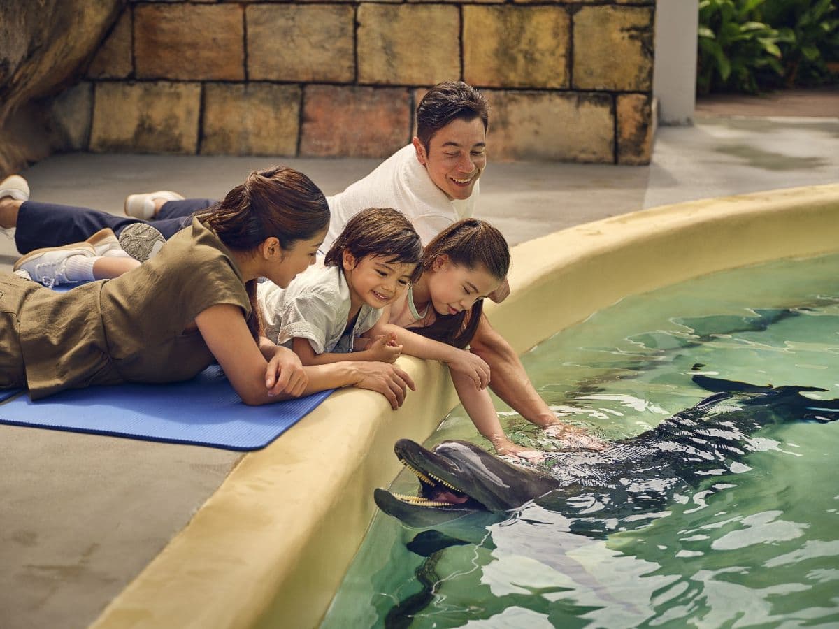 Adventure Cove Waterpark™