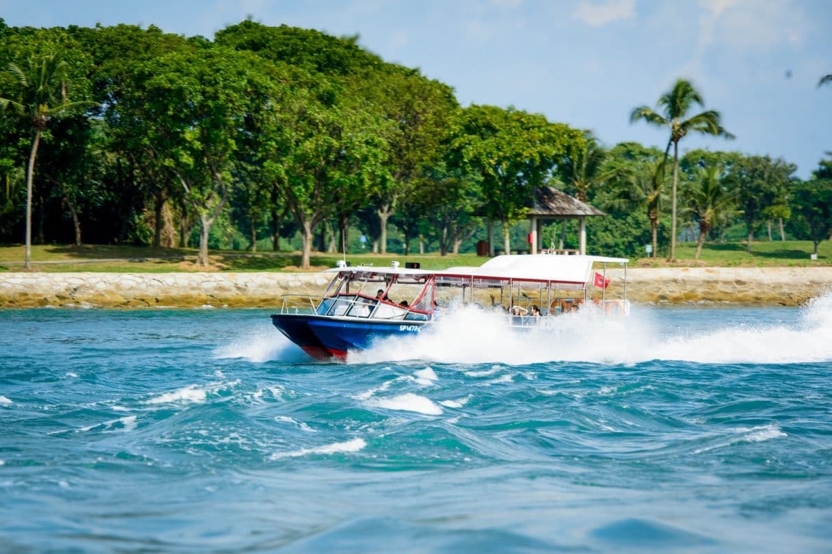 Albatross Hop-On Hop-Off Speedboat Pass (1-Day Unlimited Speedboat Rides)