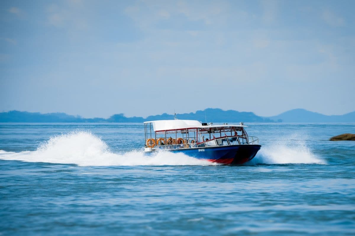 Albatross Hop-On Hop-Off Speedboat Pass (1-Day Unlimited Speedboat Rides)