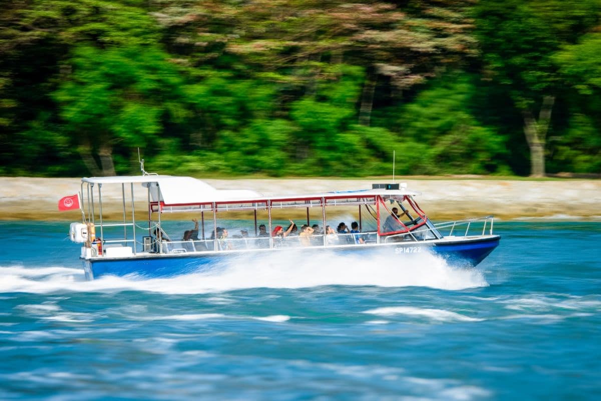 Albatross Hop-On Hop-Off Speedboat Pass (1-Day Unlimited Speedboat Rides)