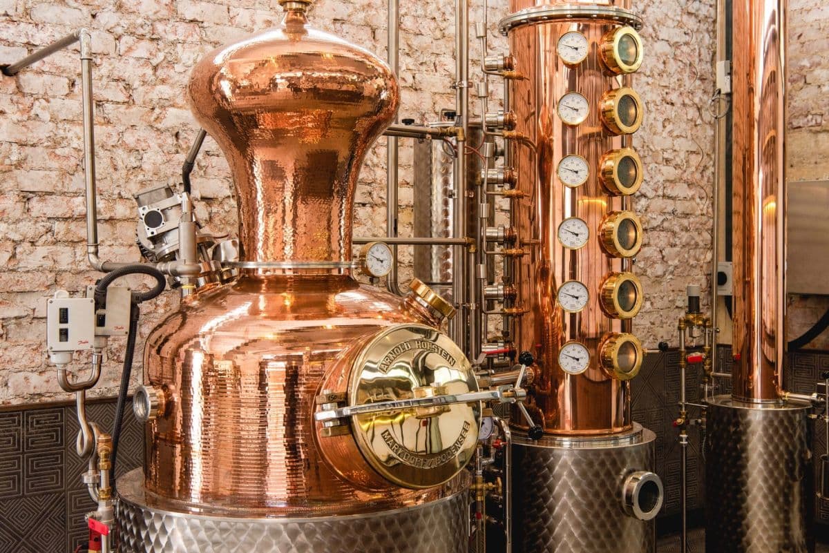 Brass Lion Guided Gin Tasting Experience