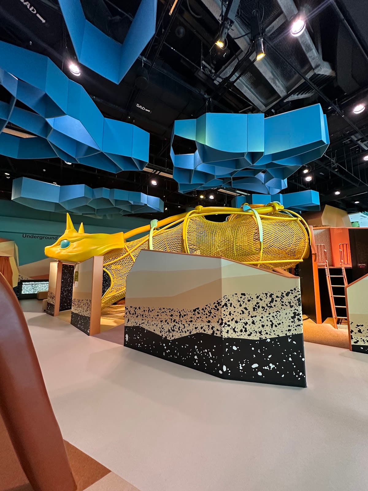Curiosity Cove