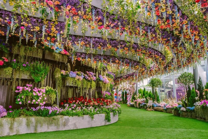 Go City: Singapore Explorer Pass