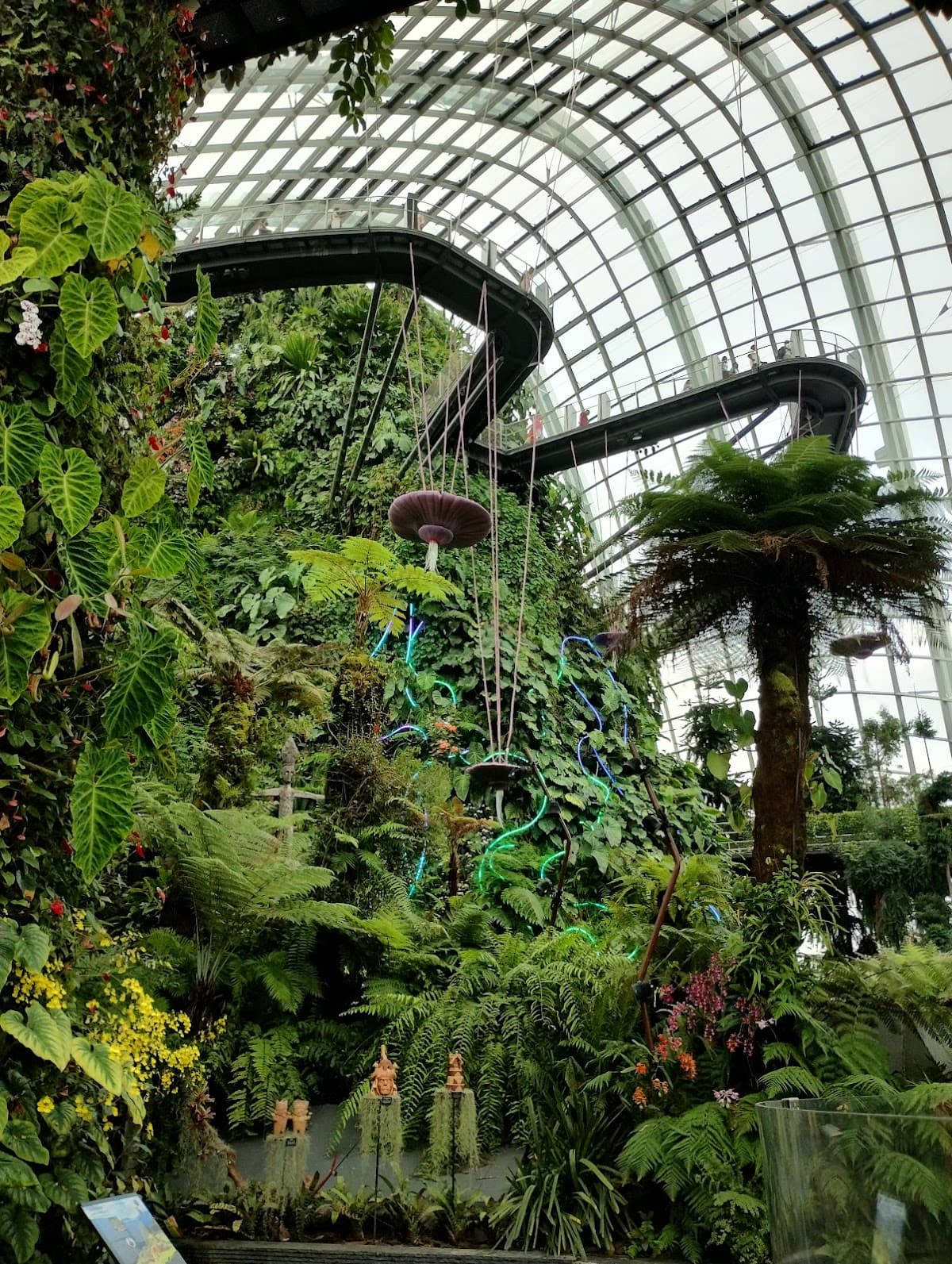 Go City: Singapore Explorer Pass