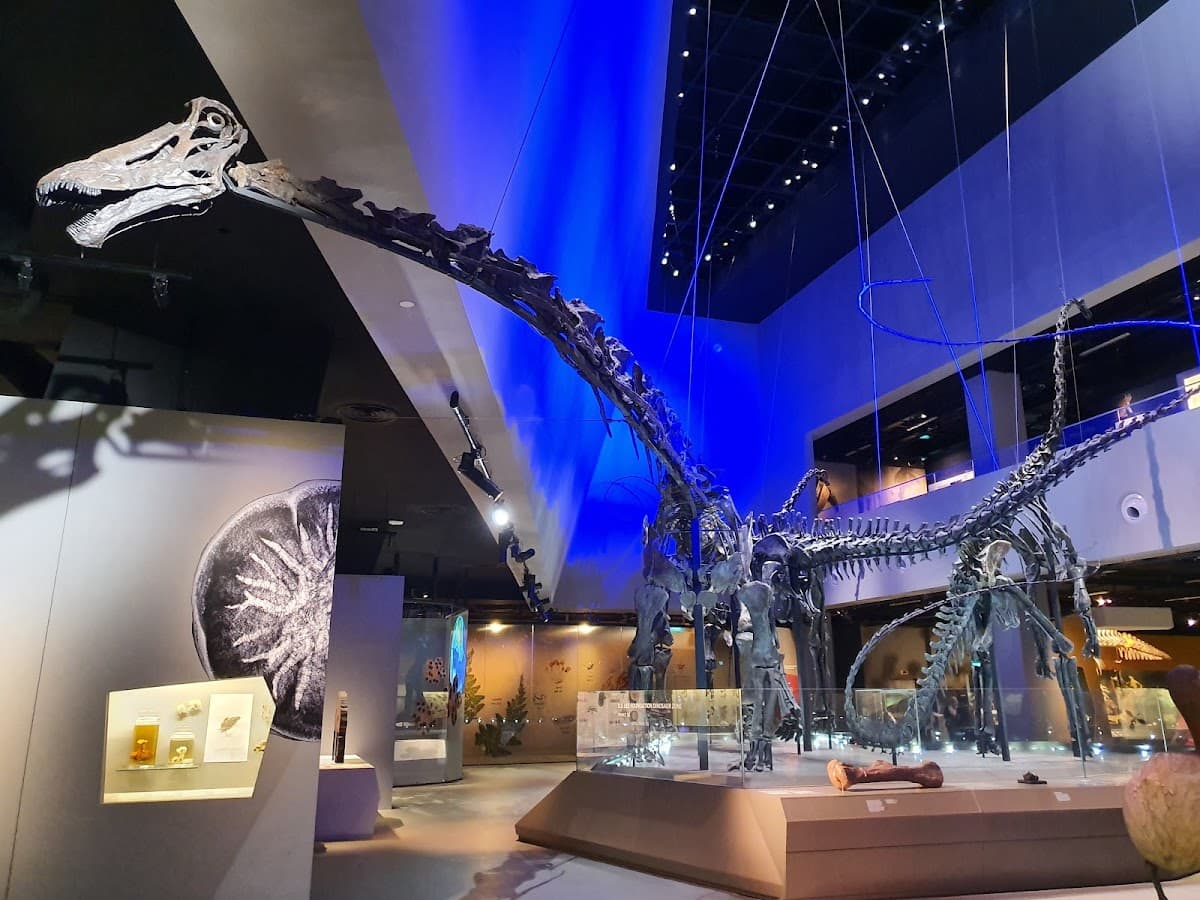 Lee Kong Chian Natural History Museum, Singapore
