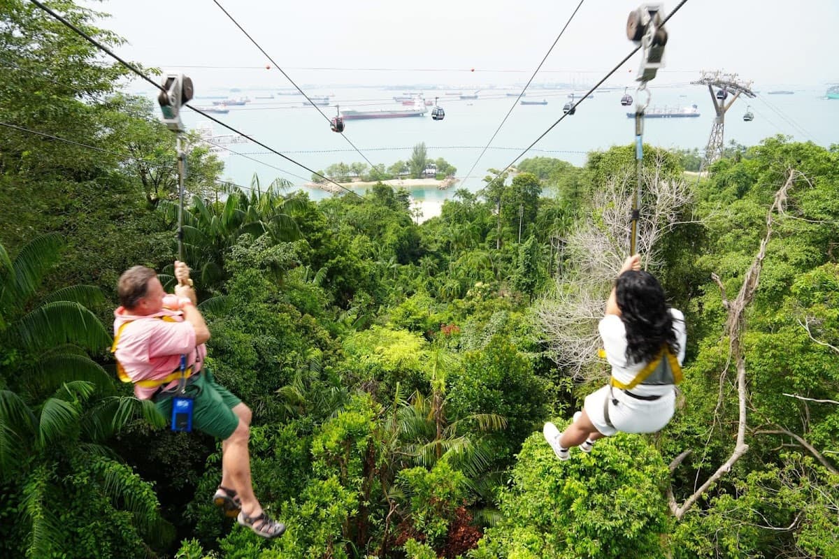 Mega Adventure Park