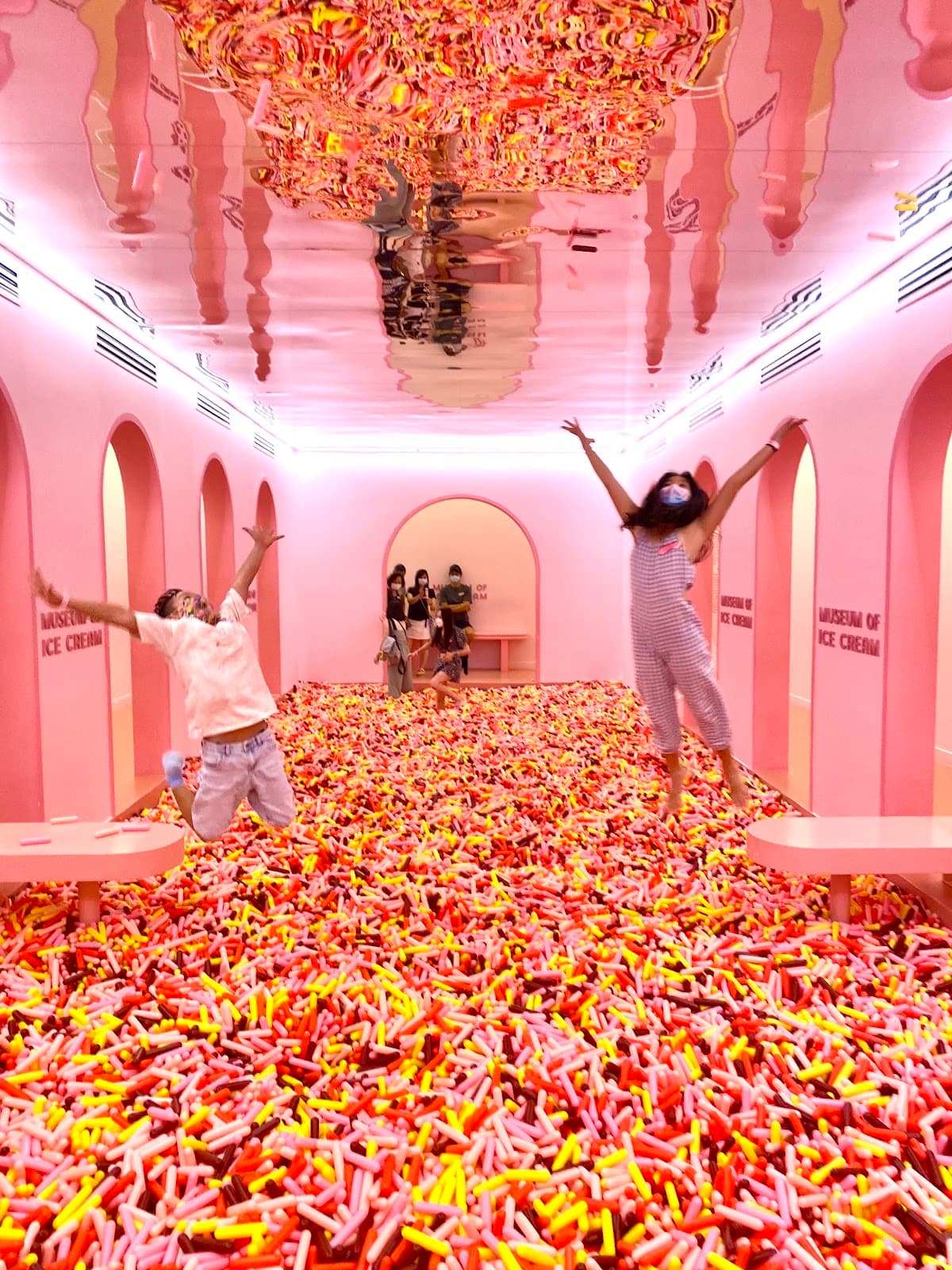 Museum of Ice Cream Admission