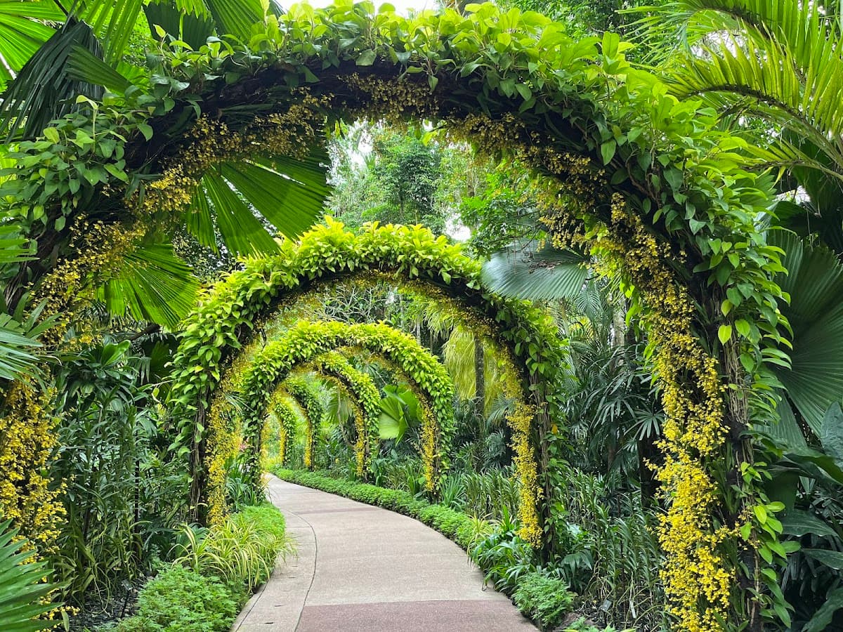 National Orchid Gardens
