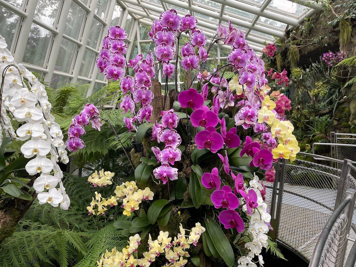 National Orchid Gardens