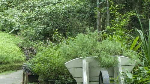 Basianshan National Forest Recreation Area