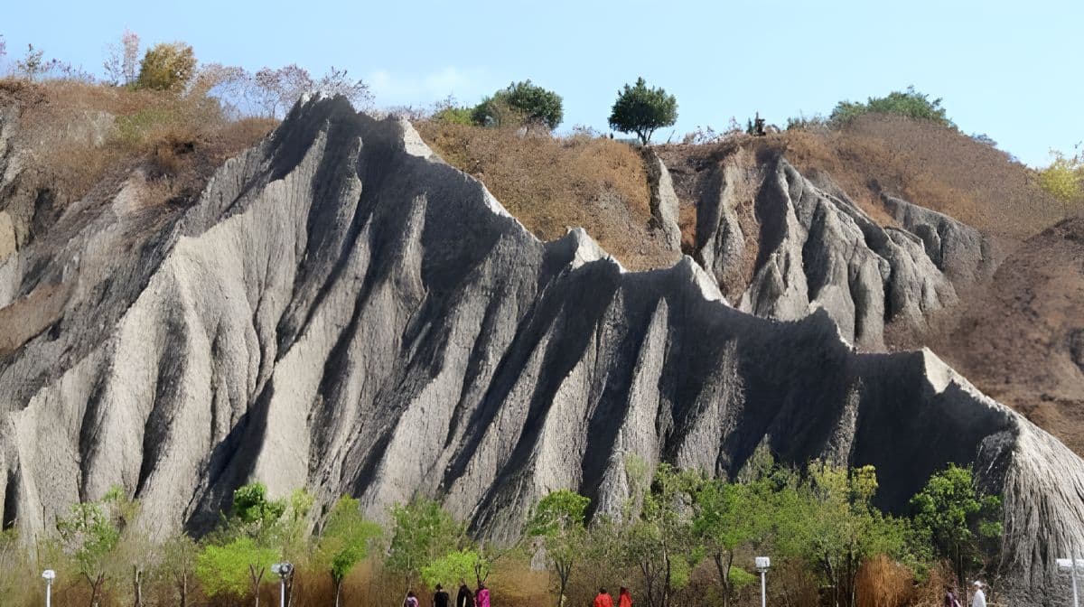 Classic Kaohsiung Attractions Day Tour Day Tours
