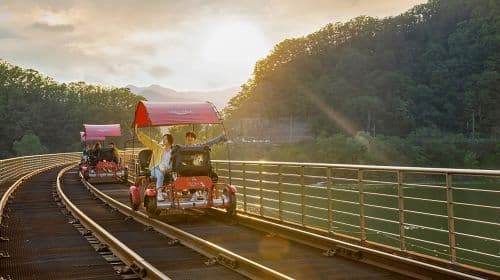 Nami Island one-day tour in South Korea [Alpaca Farm & Rail Bike & Garden of Morning Calm] Day Tours