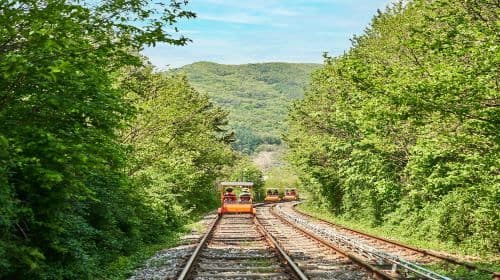 Nami Island one-day tour in South Korea [Alpaca Farm & Rail Bike & Garden of Morning Calm] Day Tours