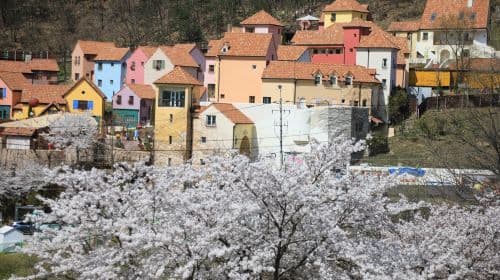 Nami Island one-day tour in South Korea [Nami Island & Petite France Village & Italian Village & Hanbok Experience] Day Tours
