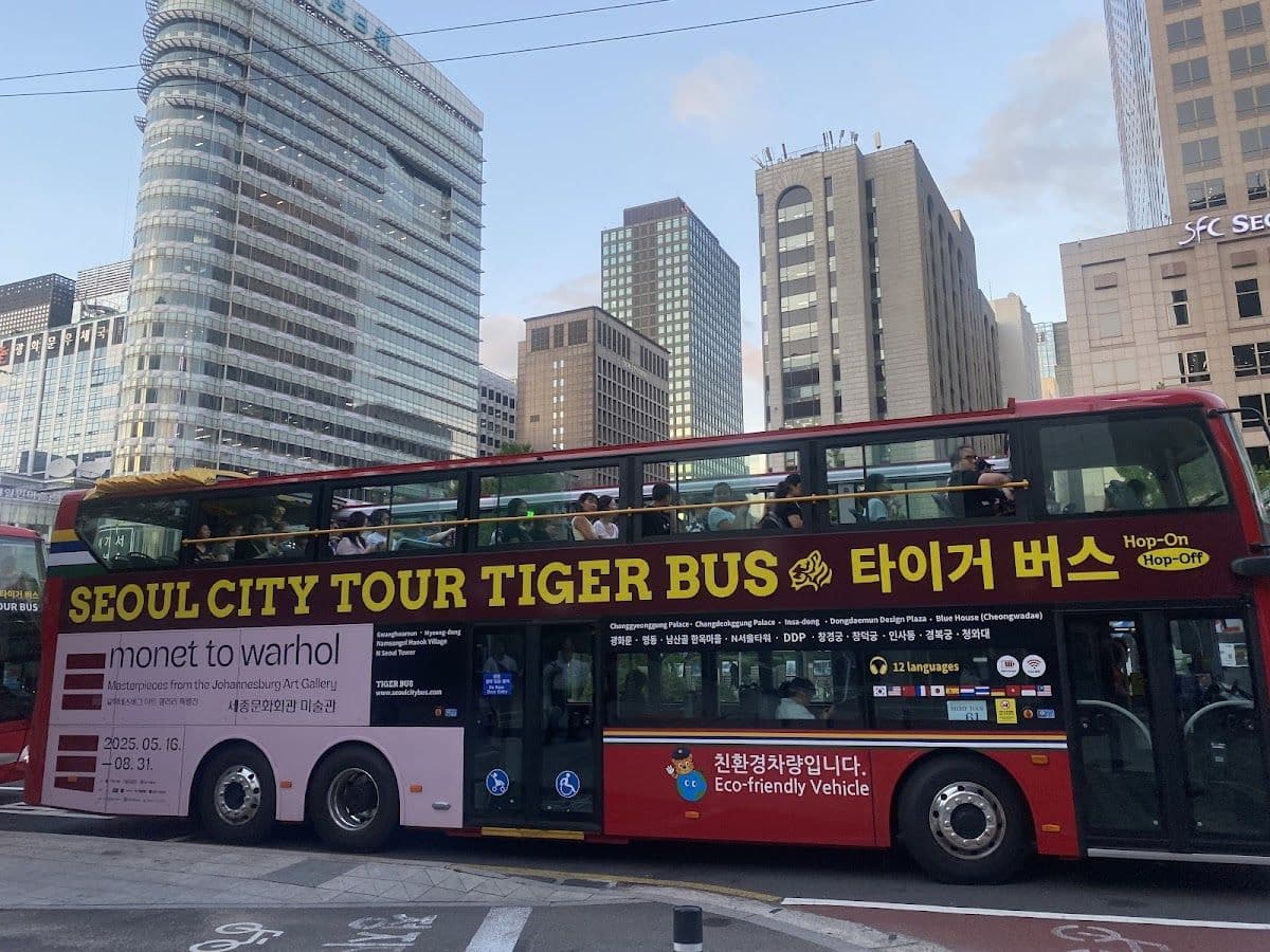 Seoul City Tour Bus Night View Course Transport Passes