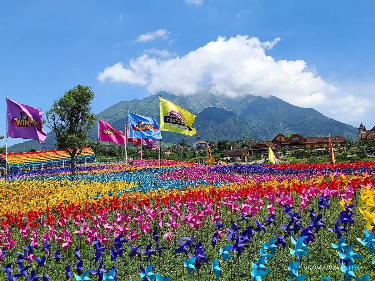 Cepogo Cheese Park Boyolali