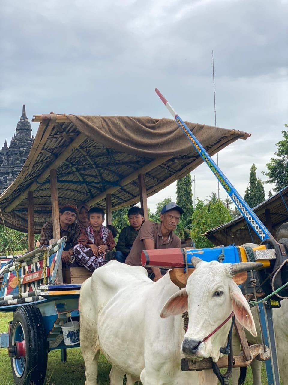 Gerobak Sapi Tour Prambanan