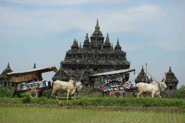 Gerobak Sapi Tour Prambanan