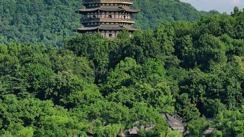 Hangzhou West Lake, Qinghefang Street, and Xixi National Wetland Park one-day tour with Chartered Car (English & Chinese Service) Day Tours