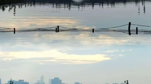 Hangzhou West Lake-Lingyin Temple-Leifeng Pagoda one-day tour(English service available/multiple Vehicle Type available) Day Tours