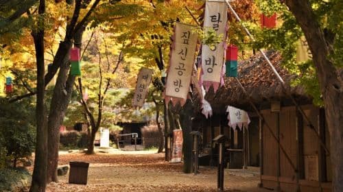 (10 godz.) Prywatny czarter na trasie do Chuncheon w Korei Południowej | Chuncheon, Nami Island, Gyeonggi-do / Wycieczki jednodniowe z Seulu
