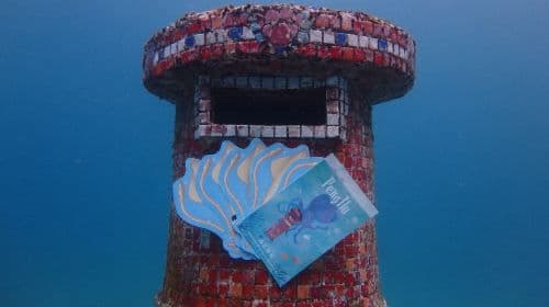Penghu: 2-Hour Undersea Mailbox Snorkeling & SUP Experience - Love Ocean