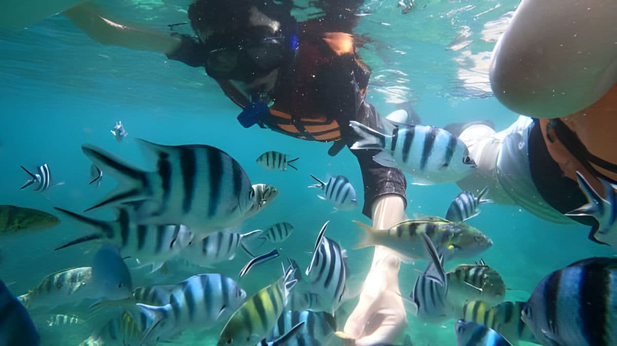 Penghu: Experiencia de 2 horas de snorkel en el buzón submarino y SUP - Love Ocean