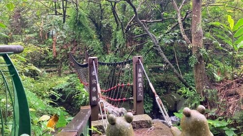 Tour de un día por la cultura del té en Pinglin y Maokong desde Taipei