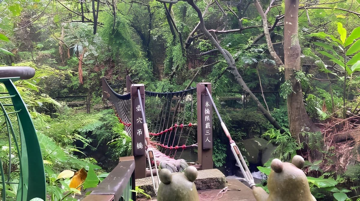 台北出发：坪林茶文化与猫空一日游