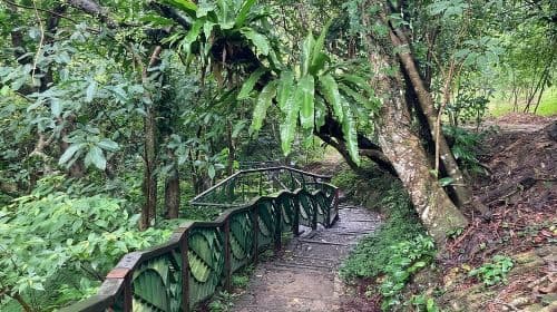 Excursion d'une journée à la culture du thé de Pinglin et Maokong au départ de Taipei