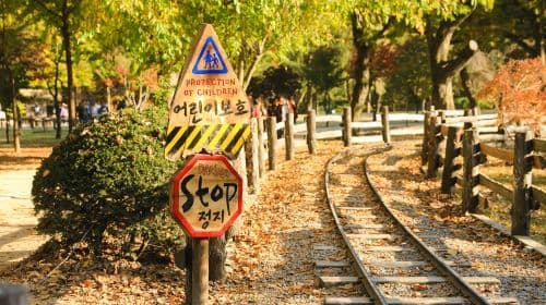 Alpaca World + Nami Island + The Garden of Morning Calm One Day Tour [Depart from Seoul • Family Friendly] Day Tours