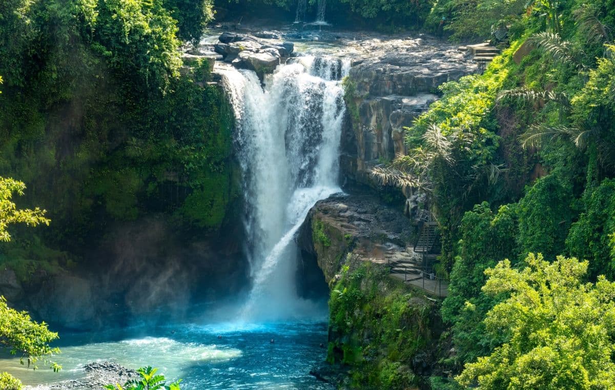 Muslim Friendly ,Ubud Penglipuran and Waterfall Tour in Bali
