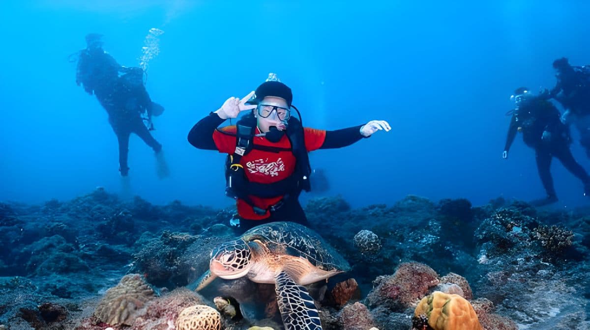 Pingtung Liuqiu Island Diving Experience diving diving 2 Hours [Xiaoliuqiu diving& Sea Turtle Tour | Liuqiu Diving]