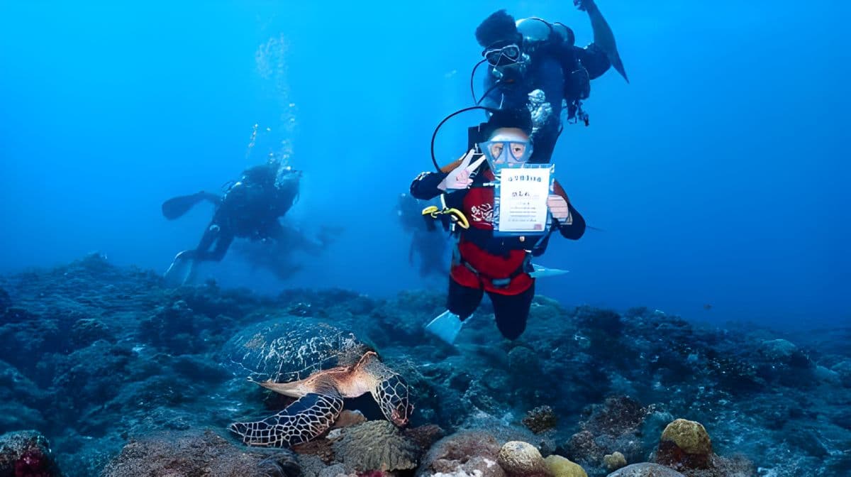 Pingtung Liuqiu Island Diving Experience 2시간 [Xiaoliuqiu 다이빙 & 바다거북 투어 | Liuqiu 다이빙]