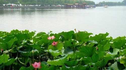 Hangzhou: Heaven on Earth Day Trip from Shanghai including West Lake Cruise