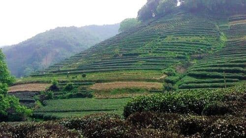 Hangzhou: Heaven on Earth Day Trip from Shanghai including West Lake Cruise