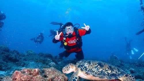 Pingtung Liuqiu Island diving Experience Scuba diving 2 Hours [Xiaoliuqiu diving| Sea Turtle Roaming]